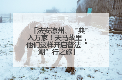 法安凉州、“典”入万家！天马故里，他们这样开启普法“潮”行之旅