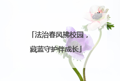 法治春风拂校园，藏蓝守护伴成长