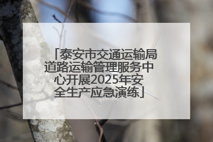 泰安市交通运输局道路运输管理服务中心开展2025年安全生产应急演练