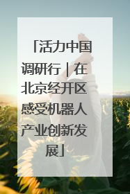 活力中国调研行｜在北京经开区感受机器人产业创新发展