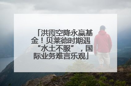 洪霞空降永赢基金！贝莱德时期遇“水土不服”，国际业务难言乐观