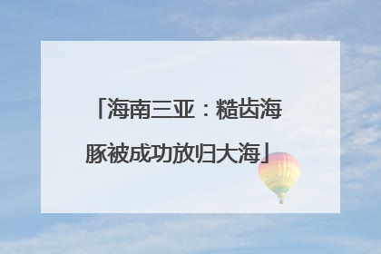 海南三亚：糙齿海豚被成功放归大海