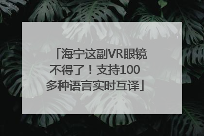 海宁这副VR眼镜不得了！支持100多种语言实时互译