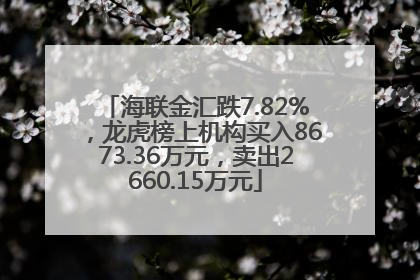 海联金汇跌7.82%，龙虎榜上机构买入8673.36万元，卖出2660.15万元