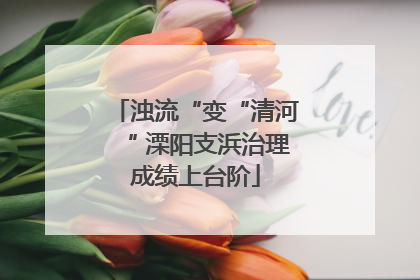浊流“变“清河“ 溧阳支浜治理成绩上台阶