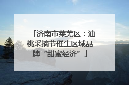济南市莱芜区：油桃采摘节催生区域品牌“甜蜜经济”