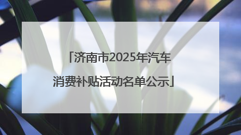 济南市2025年汽车消费补贴活动名单公示