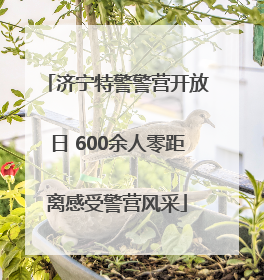 济宁特警警营开放日 600余人零距离感受警营风采