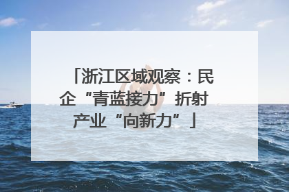 浙江区域观察：民企“青蓝接力”折射产业“向新力”