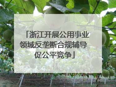 浙江开展公用事业领域反垄断合规辅导 促公平竞争