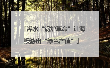 浠水“锅炉革命”让海鳗游出“绿色产值”