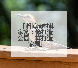 淄博周村韩家窝：像打造公园一样打造家园