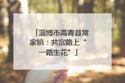 淄博市高青县常家镇：共富路上“一路生花”