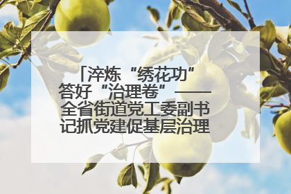 淬炼“绣花功” 答好“治理卷”——全省街道党工委副书记抓党建促基层治理培训示范班侧记