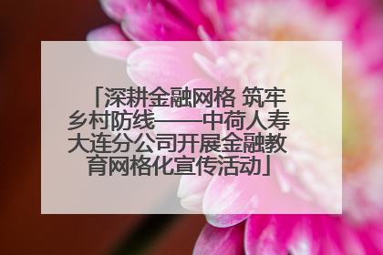 深耕金融网格 筑牢乡村防线——中荷人寿大连分公司开展金融教育网格化宣传活动
