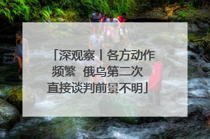 深观察丨各方动作频繁  俄乌第二次直接谈判前景不明