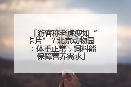 游客称老虎瘦如“卡片”？北京动物园：体重正常，饲料能保障营养需求