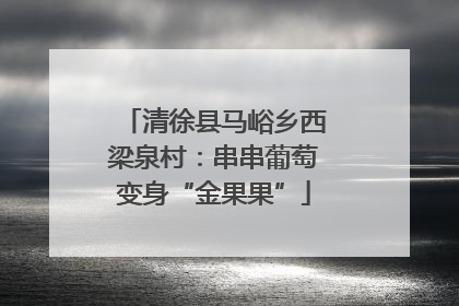 清徐县马峪乡西梁泉村：串串葡萄变身“金果果”