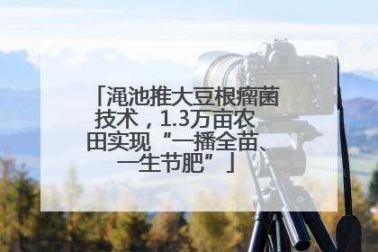 渑池推大豆根瘤菌技术，1.3万亩农田实现“一播全苗、一生节肥”