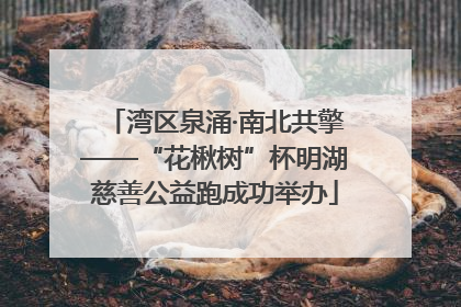 湾区泉涌·南北共擎——“花楸树”杯明湖慈善公益跑成功举办