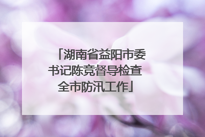 湖南省益阳市委书记陈竞督导检查全市防汛工作