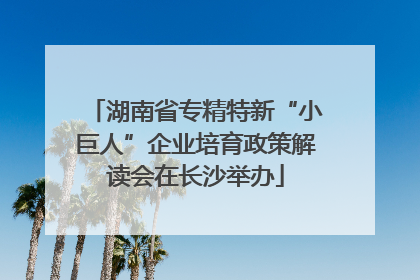 湖南省专精特新“小巨人”企业培育政策解读会在长沙举办