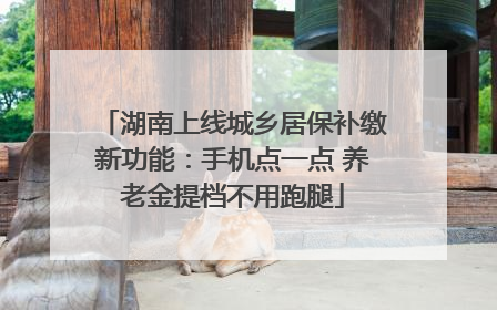 湖南上线城乡居保补缴新功能：手机点一点 养老金提档不用跑腿