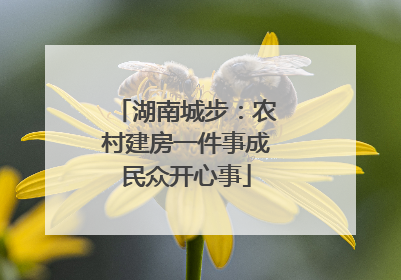 湖南城步：农村建房一件事成民众开心事