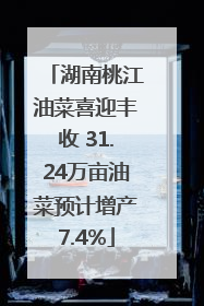 湖南桃江油菜喜迎丰收 31.24万亩油菜预计增产7.4%