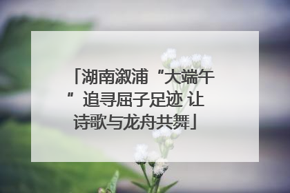 湖南溆浦“大端午”追寻屈子足迹 让诗歌与龙舟共舞