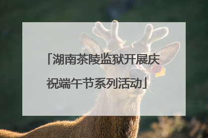 湖南茶陵监狱开展庆祝端午节系列活动