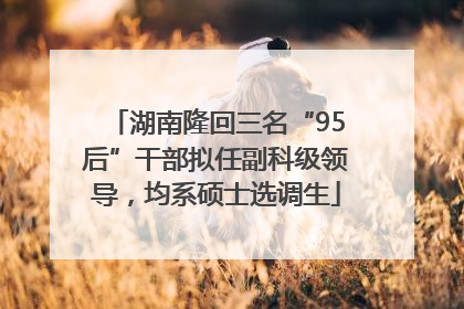 湖南隆回三名“95后”干部拟任副科级领导，均系硕士选调生