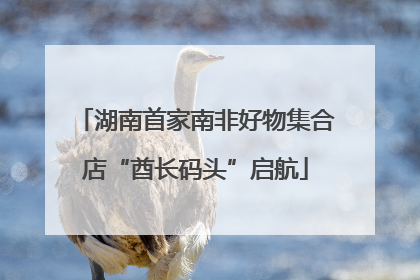 湖南首家南非好物集合店“酋长码头”启航