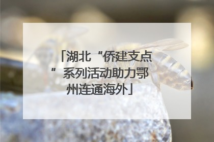 湖北“侨建支点”系列活动助力鄂州连通海外