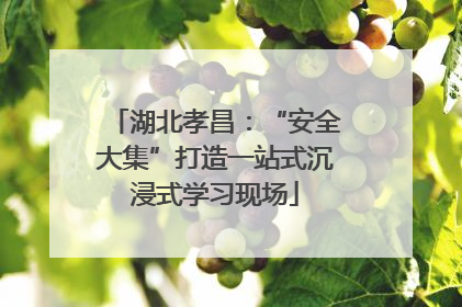 湖北孝昌：“安全大集”打造一站式沉浸式学习现场
