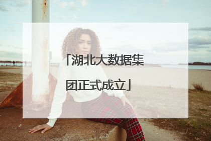湖北大数据集团正式成立