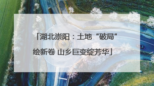 湖北崇阳：土地“破局”绘新卷 山乡巨变绽芳华