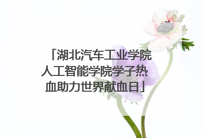 湖北汽车工业学院人工智能学院学子热血助力世界献血日