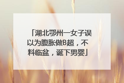 湖北鄂州一女子误以为腹胀做B超，不料临盆，诞下男婴