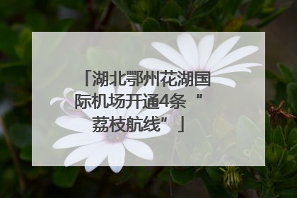 湖北鄂州花湖国际机场开通4条“荔枝航线”