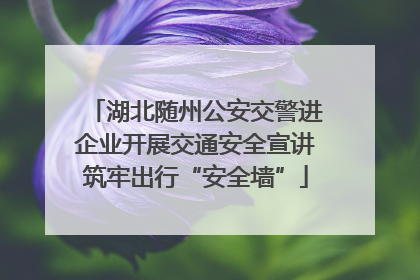 湖北随州公安交警进企业开展交通安全宣讲筑牢出行“安全墙”