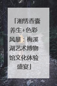 湘绣香囊养生+色彩风暴：梅溪湖艺术博物馆文化体验盛宴