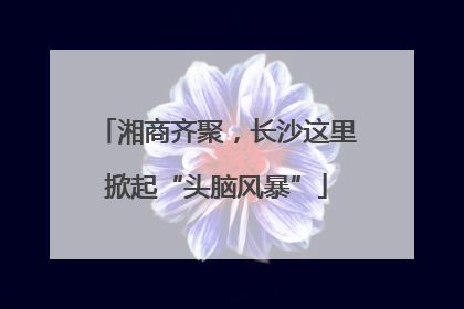 湘商齐聚，长沙这里掀起“头脑风暴”