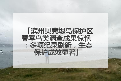 滨州贝壳堤岛保护区春季鸟类调查成果惊艳：多项纪录刷新，生态保护成效显著