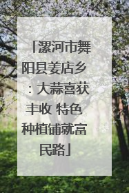 漯河市舞阳县姜店乡：大蒜喜获丰收 特色种植铺就富民路