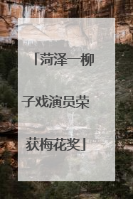菏泽一柳子戏演员荣获梅花奖