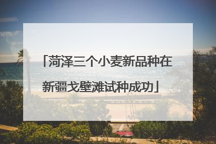 菏泽三个小麦新品种在新疆戈壁滩试种成功