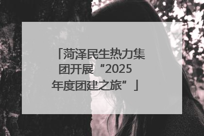 菏泽民生热力集团开展“2025年度团建之旅”