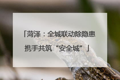 菏泽：全城联动除隐患 携手共筑“安全城”