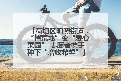 荷塘区明照街道：“撂荒地”变“爱心菜园” 志愿者携手种下“增收希望”